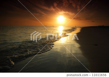 sunset on the sea 11011656
