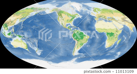 World vegetation map 11013109