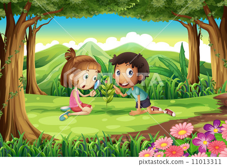 A forest with two kids studying the growing plant with a bug 11013311