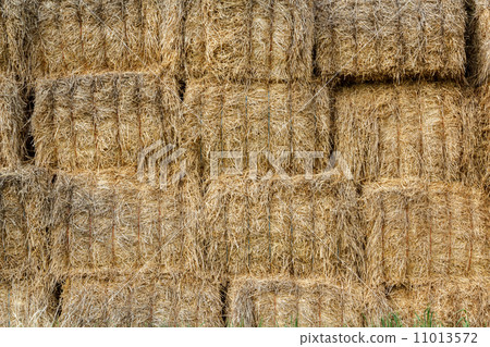 wall surface of the straw bales 11013572
