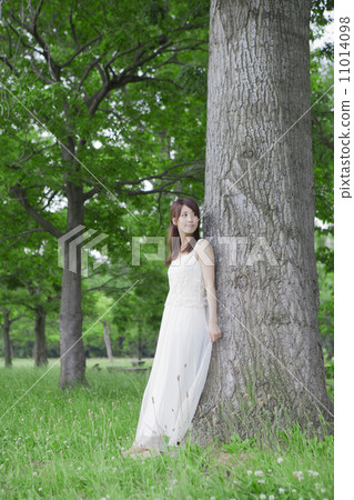 A big tree and a one-piece lady 11014098