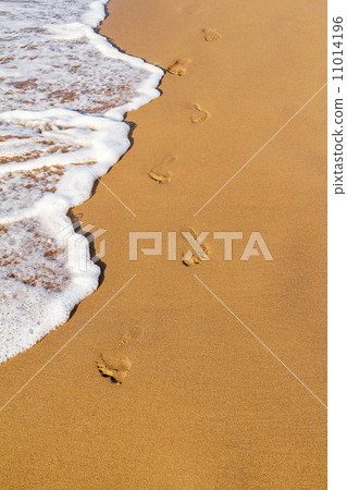Footsteps on the beach 11014196