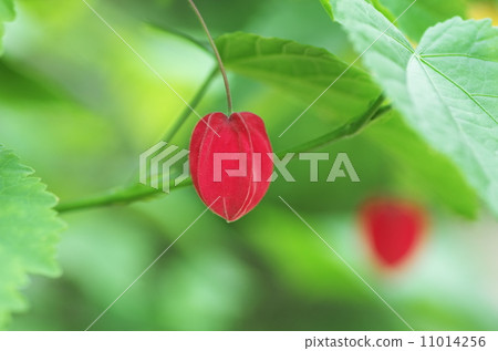 Tyrolean lamp Tyrolean lamp 11014256