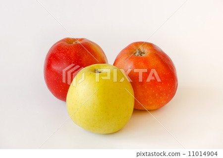 two red and one green apples on white background two red and one green apples on white background 11014904