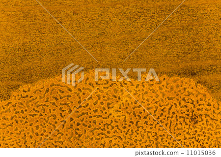 rusty iron plate background with strong grain rusty iron plate background with strong grain 11015036