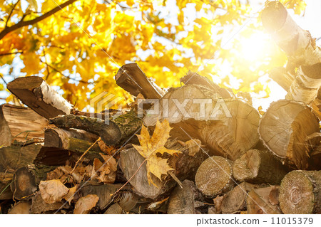 wood in pile outdoor with sunlight wood in pile outdoor with sunlight 11015379