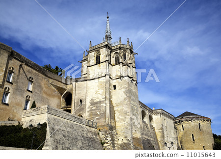 Amboise Castle. Valley of Loire, France Amboise Castle. Valley of Loire, France 11015643