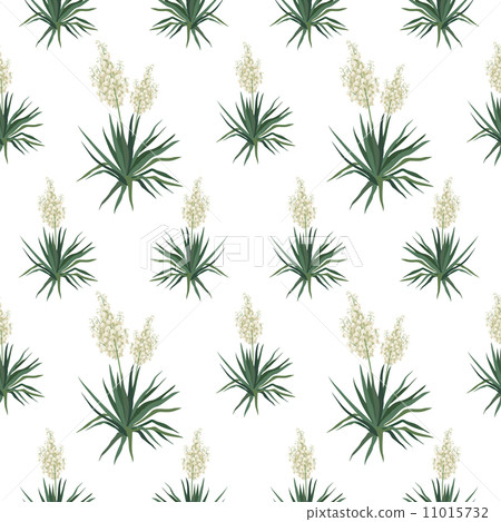 Seamless floral background, Yucca flowers 11015732