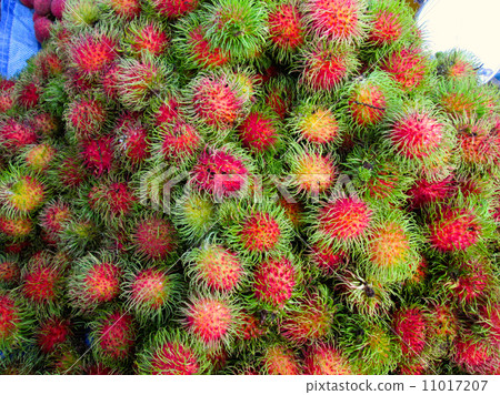 rambutan rambutan 11017207