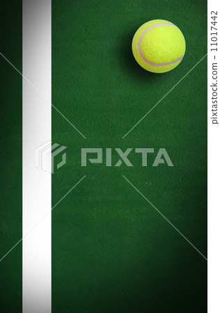 Tennis ball 11017442