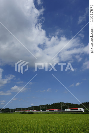 E259 Narita Express 11017673