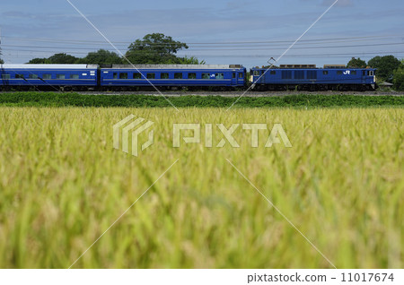 EF 641000臥舖列車 11017674