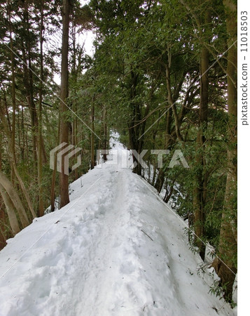 Snow road to Kageyama 11018503