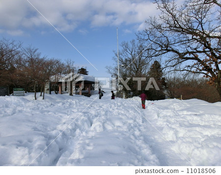 Mt. Takao山峰大雪 11018506