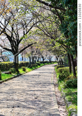 東山自然公園區慢跑路線 11020830