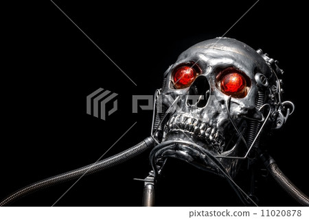 Skull of a human size robot Skull of a human size robot 11020878
