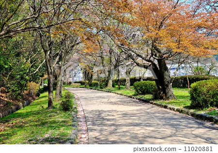 東山自然公園區慢跑路線 11020881
