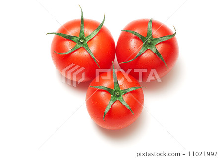 Tomato   11021992