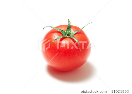 Tomato   11021993