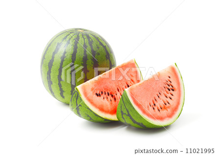 watermelon 11021995