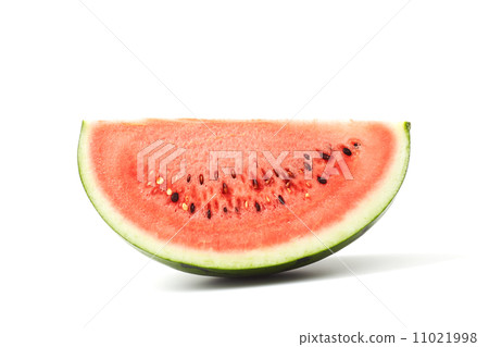 watermelon 11021998