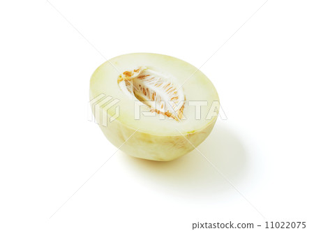 哈恩德瓜 11022075