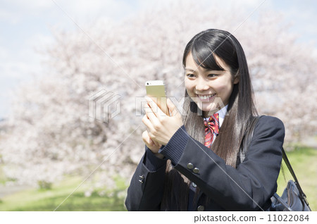 Cherry blossoms and high school students Cherry blossoms and high school students 11022084