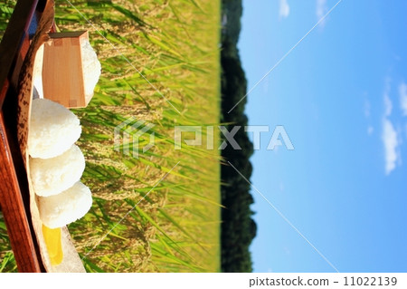Harvest rice field and bowl of rice balls 11022139