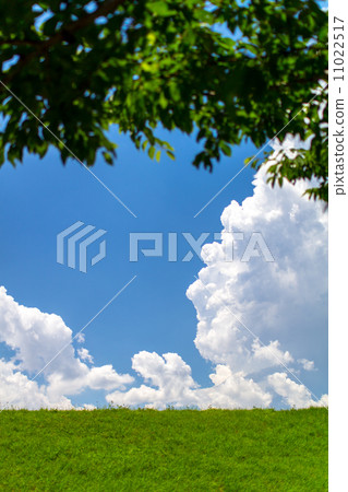 夏天的天空和雲 夏天的天空和雲 11022517