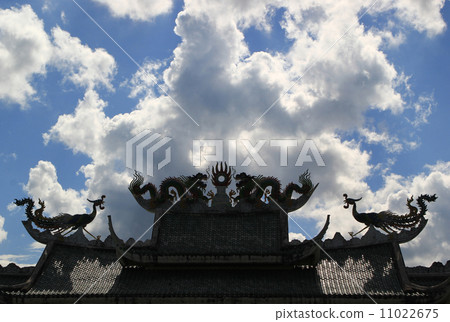 Dragons and swans 11022675