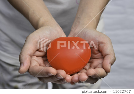 Heart in heart hands 11022767