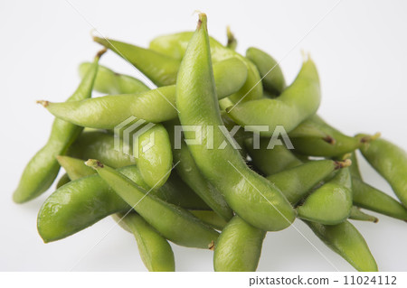 毛豆 毛豆 11024112