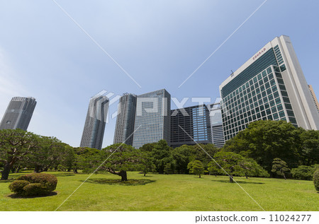 從市中心的Hamarikyu花園的汐留建築 從市中心的Hamarikyu花園的汐留建築 11024277