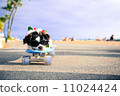 滑板狗 滑板狗 11024424