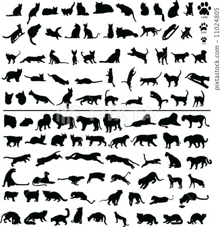 100 Cats 11024805