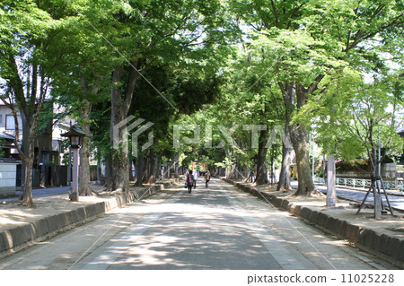 大宮冰川神社入口 11025228