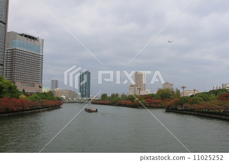 Okawa 11025252