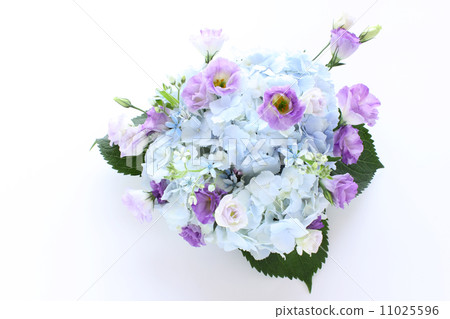 Arrange of hydrangea, Turkish china and blue star (whole) 11025596