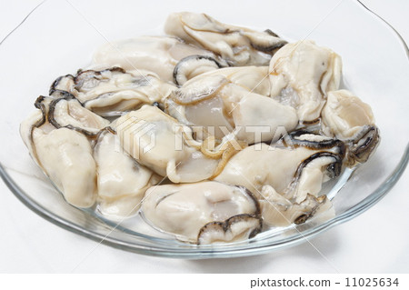 Raw oysters  11025634