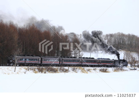 SL winter wetlands 11025837