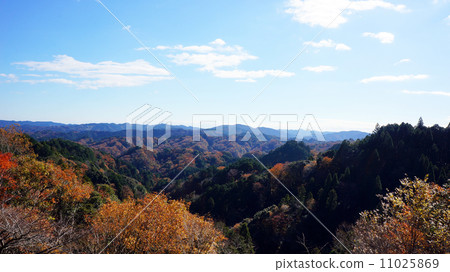 Autumn leaves in Yoro valley 11025869