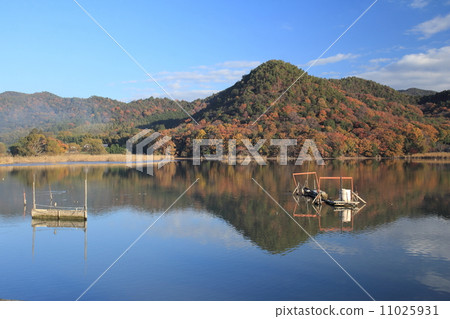 Kyoto Fall Hirosawa pond Kyoto Fall Hirosawa pond 11025931
