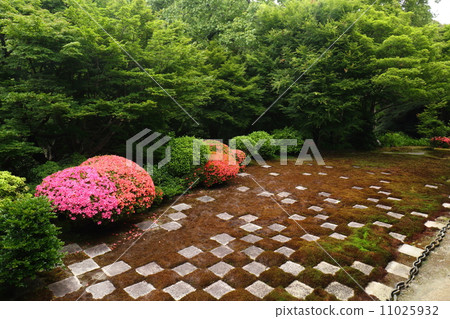 Kyoto Tofukuji Hakka garden Kyoto Tofukuji Hakka garden 11025932