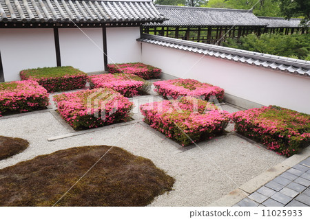 Kyoto Tofukuji Hakka garden Kyoto Tofukuji Hakka garden 11025933