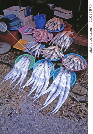 一家魚店 11025979