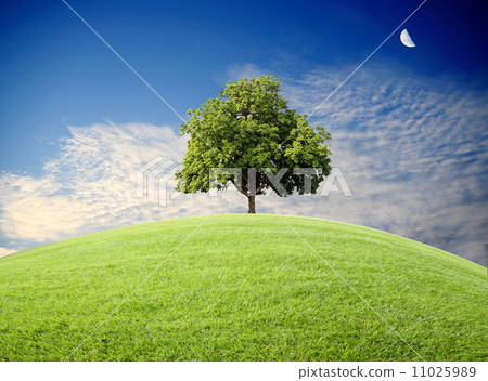 HIll,tree and blue sky HIll,tree and blue sky 11025989