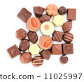 group of delicious chocolate pralines 11025997