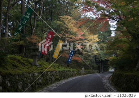 Akayama Zen-japon入口 11026029