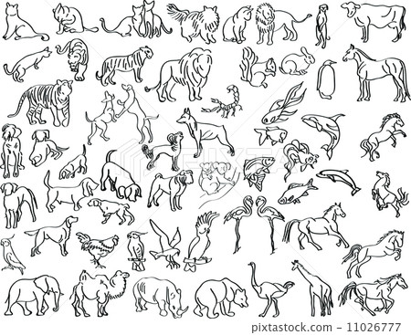 Sketches of animals 11026777