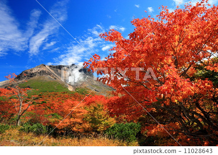 The autumn leaves of Nasu and Ryugadaira and the Mt. The autumn leaves of Nasu and Ryugadaira and the Mt. 11028643